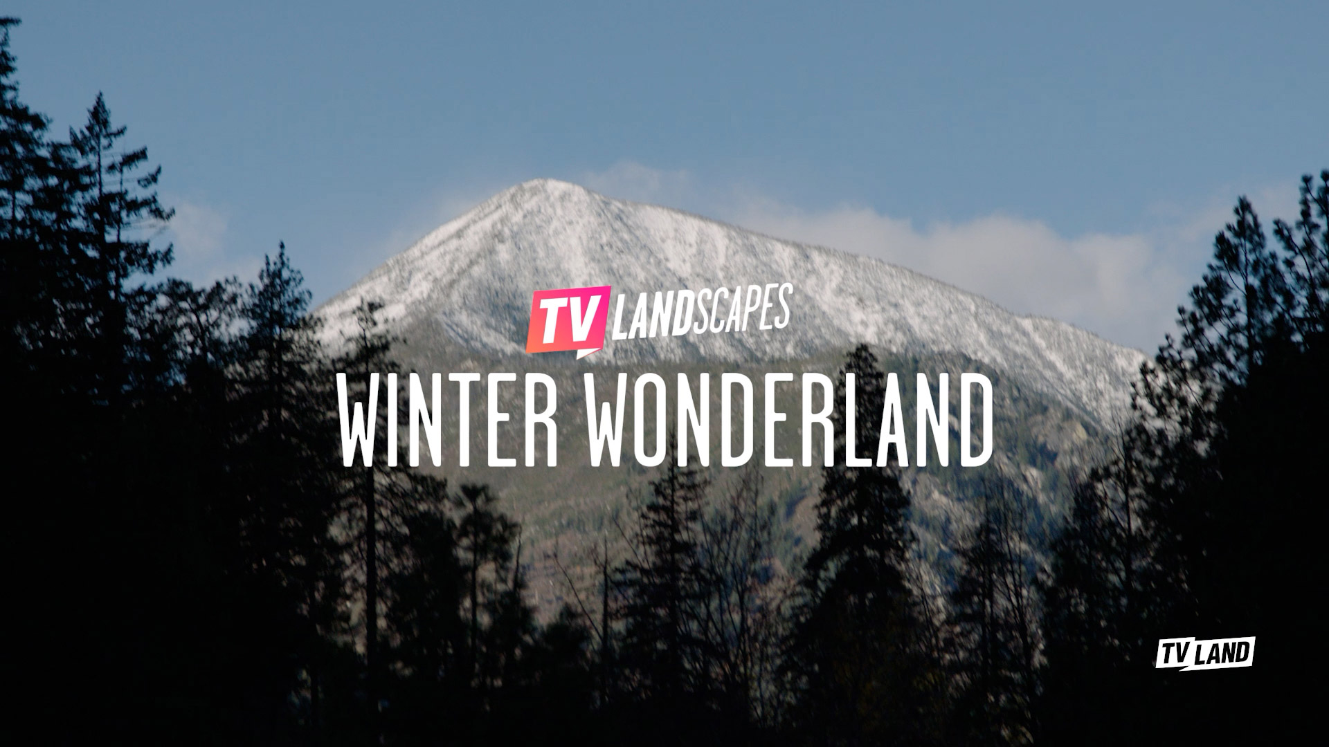 TVLandscapes Winter Wonderland